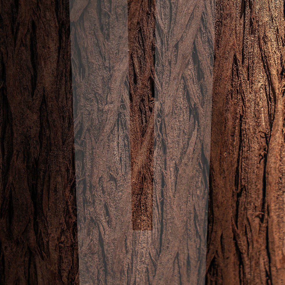 Think WordPress isn’t enterprise-ready? Think again