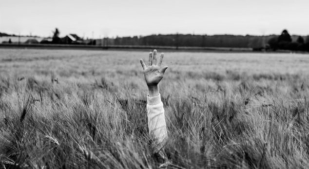 5 blogityyppiä avuksi sisältömarkkinoinnin suunnitteluun