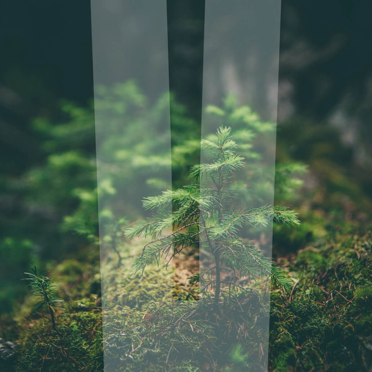 A practical guide to website accessibility