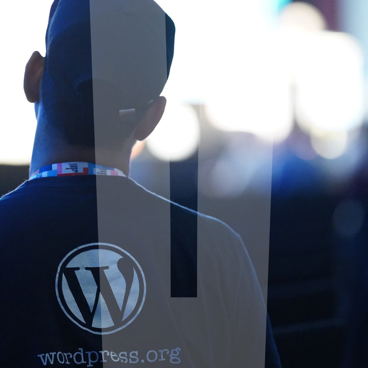 Why WordPress Powers most of the Web - Photo from Chiharu Nagatomi