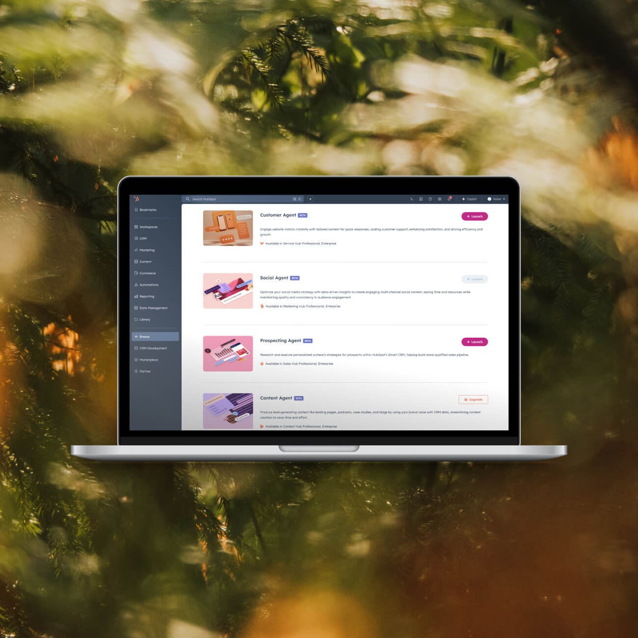 hubspot-breeze-AI-1x1