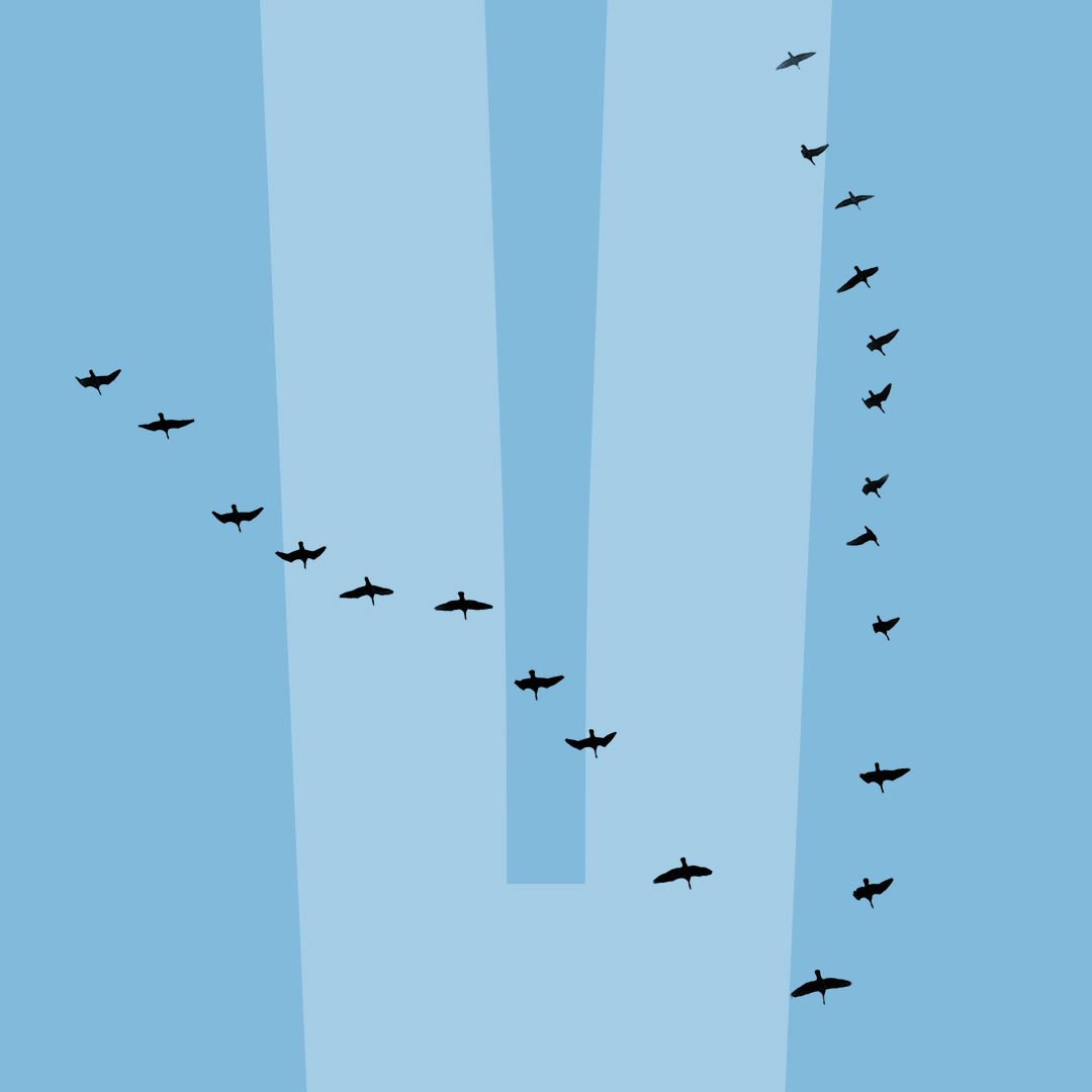 Transform complex products into experiences that connect